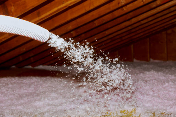 Best Energy Efficiency Solutions in Odessa, FL