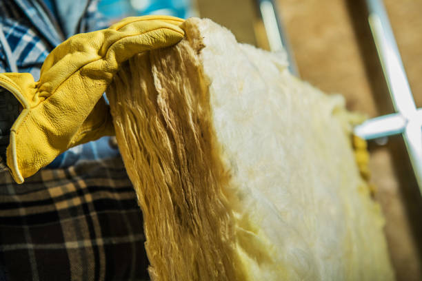 Best Insulation Installation Services in Odessa, FL